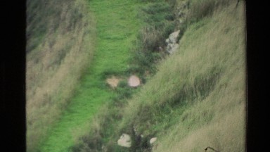 1982: recording of an animal next to a lake NEW ZEALAND