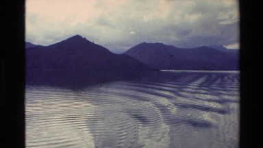 1982: a bird flying above the sky NEW ZEALAND