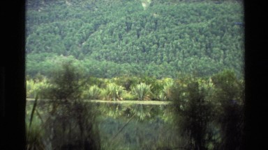 1982: mountains and a lake behind some trees NEW ZEALAND