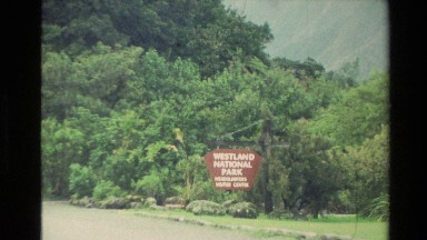 1982: the dark forest full of trees around the mountain and the top also NEW
