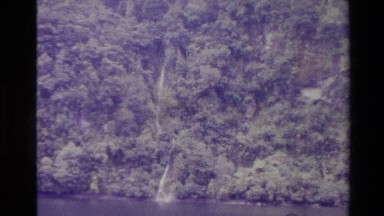 1982: humans cannot be surveying forest NEW ZEALAND