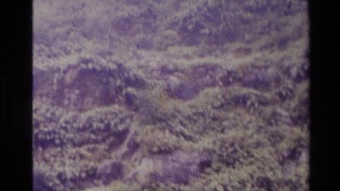 1982: boat tour of a rugged coastline with a beautiful waterfall NEW ZEALAND