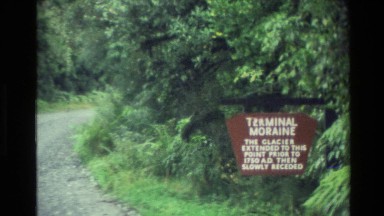 1982: display board on roadside inside a forest NEW ZEALAND