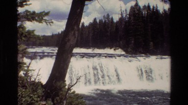 1980: river with short waterfall by sloped land flows through pine forest GRAND