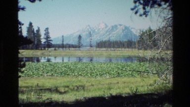 1980: lily pads with a mountain in the background GRAND TETON WYOMING