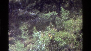 1980: cave falls sign and cave falls, running water and nature. GRAND TETON