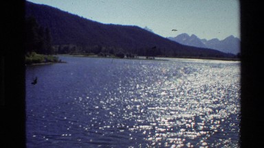 1980: lake with rugged mountains in the background and a very lush lake shore