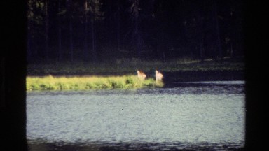 1980: a peaceful day in nature GRAND TETON WYOMING