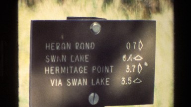 1980: Trail Sign for Heron Pond, Swan Lake and Hermitage Point GRAND TETON
