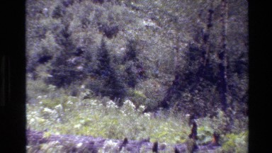 1980: there's movement out there. GRAND TETON WYOMING