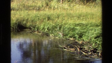 1980: meadow with pond, grassy bank and trees and hills in the distance GRAND