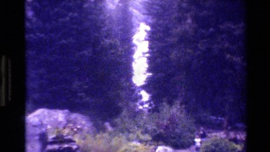 1980: a static shot that shows about 2-3 people walking in the pine tree forest