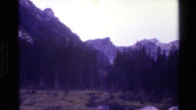 1980: Panoramic View of Grand Teton Mountain Valley with Jagged Peaks and Spruce Trees