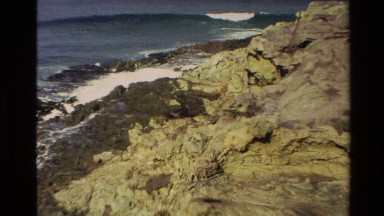 1982: The Carcass of a Dead Seal Washed Up on a Rocky Beach in New Zealand