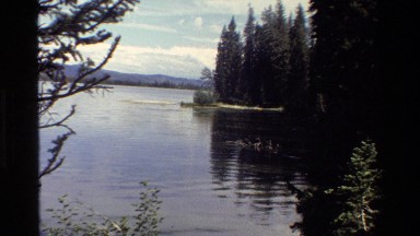 1980: Coniferous Trees Stand on the Shore of a Calm Lake in Grand Teton