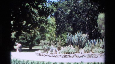 1980: Beautiful Greenish Garden in Big Sur California