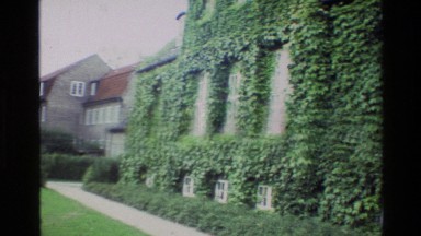 1982: ivy covers building exterior leaving rows of windows and levels of roofing
