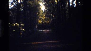 1982: a person jogging along the road amid woods on the shore of the river