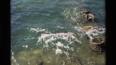 1981: Shoreline Recording of Water and Boats in Hawaii