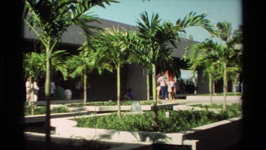 1981: small groups of people talking in courtyard with swinging palm trees
