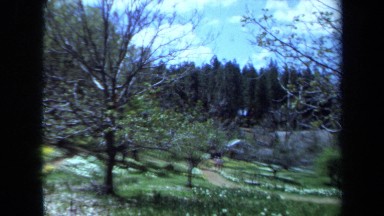 1971: nature at ease MAINE