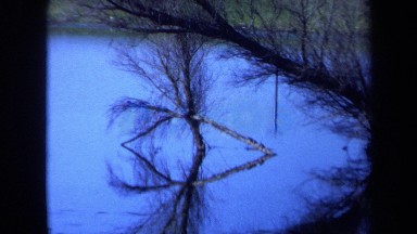1971: pond with reflection of leafless bushes MAINE