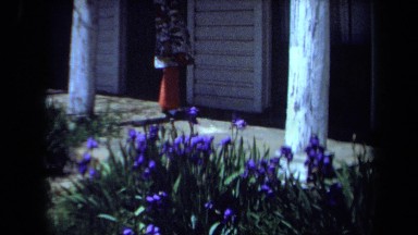 1971: a patch of pretty wildflowers near a home with white siding MAINE