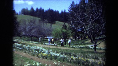 1971: a group of people are walking around in a garden on a sunny day MAINE