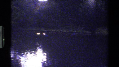 1983: a dark and quiet night in a farm near the river showing a group of ducks.