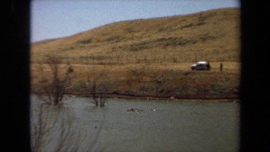 1971: crocodile in the water LAGUNA HILLS CALIFORNIA