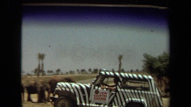 1971: a striped black and white zebra print vehicle drives up the road LAGUNA