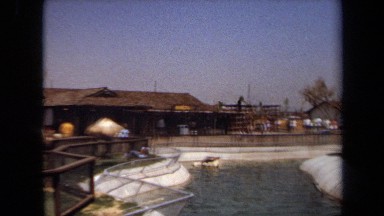 1971: looking over most at zoo exhibit LAGUNA HILLS CALIFORNIA