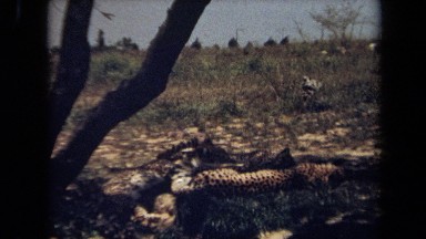 1971: resting under the three LAGUNA HILLS CALIFORNIA