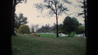 1970: a place where there are lots of trees and people WASHINGTON DC