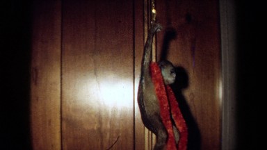 1971: A Fake Monkey Hanging in California
