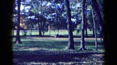 1959: Sunny Outdoor Woodsy Scenic Park Where Family Activities Can Be Enjoyed