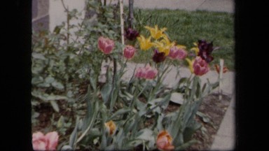 1958: A Small Garden Patch Grows Near a Family's Home in New York