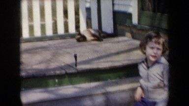 1959: Little Boy Watching Cat New York