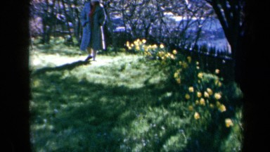 1969: One Person Walking Through a Field of Flowers, Then a Group Flashes