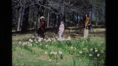 1985: Three People Walking in the Woods Near a Field Daffodil Hill California