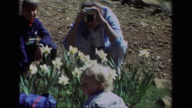 1985: Children Playing in Daffodil Garden at Daffodil Hill California