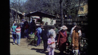 1985: Group of People at Vegetable Market Daffodil Hill California
