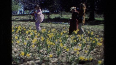 1985: A Little Girl Looking at Flowers at Daffodil Hill California