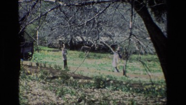 1985: people walking around in the woods DAFFODIL HILL CALIFORNIA