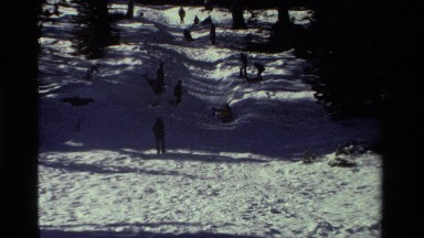 1981: group sledding down snowy hillside dotted with trees CALIFORNIA