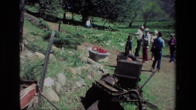 1985: people gathered in a area with lots of flowers DAFFODIL HILL CALIFORNIA