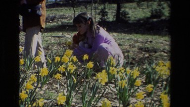 1985: a girl stops looking at flowers to follow others DAFFODIL HILL CALIFORNIA