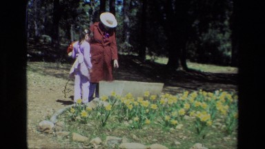 1985: a mother showing flowers to her daughter DAFFODIL HILL CALIFORNIA