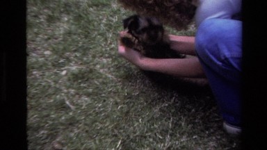 1979: Man Petting Puppy Laguna Beach California
