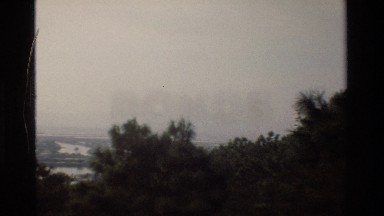 1984: Coastal Residential Area with Palm Trees in Hong Kong
